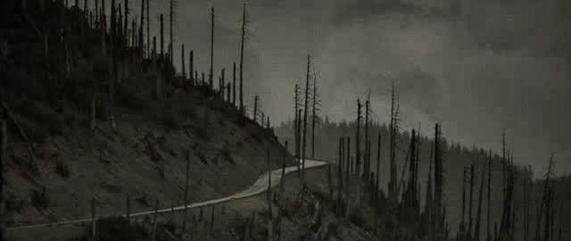 Кадры из фильма: Дорога (The Road) - 2009